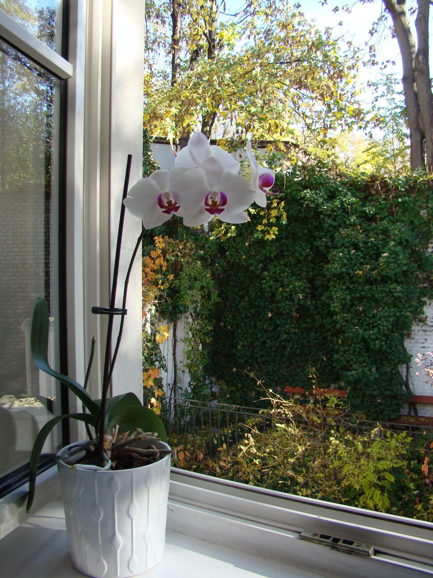 Boutique Hotel 16 Прага Экстерьер фото