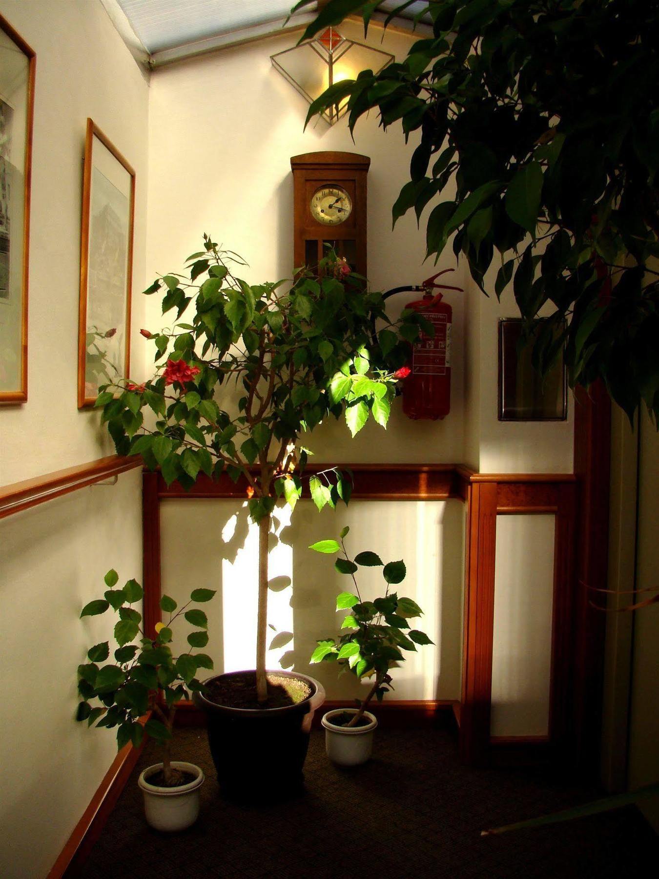 Boutique Hotel 16 Прага Экстерьер фото